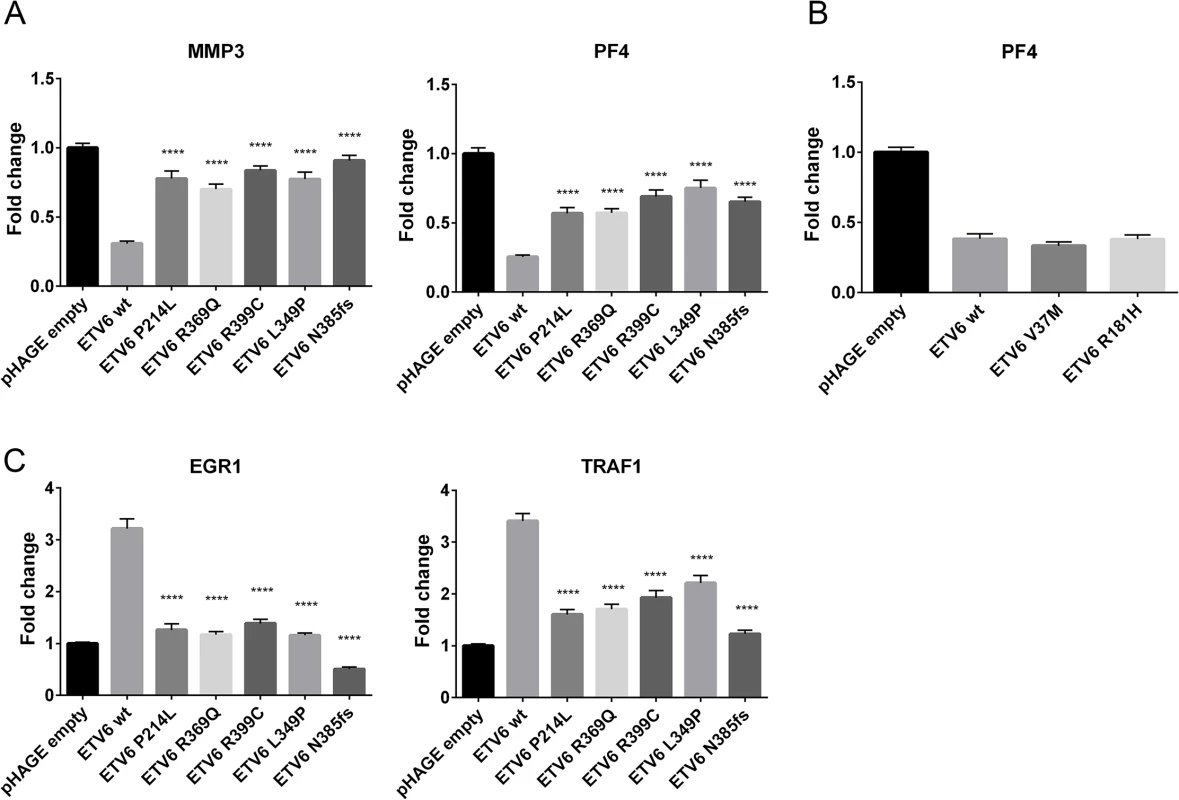 Effect of germline ETV6 mutations on transcription.