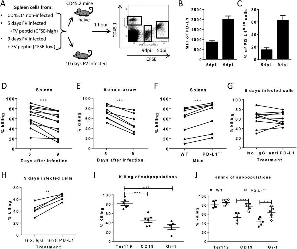 Cytotoxic activity of CTL against target cells expressing different levels of PD-L1.