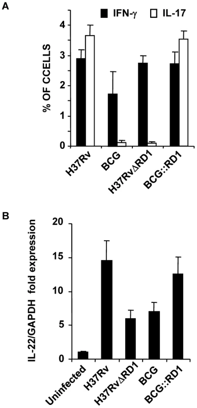 H37Rv directs differentiation of both Th1 and Th17 cells.