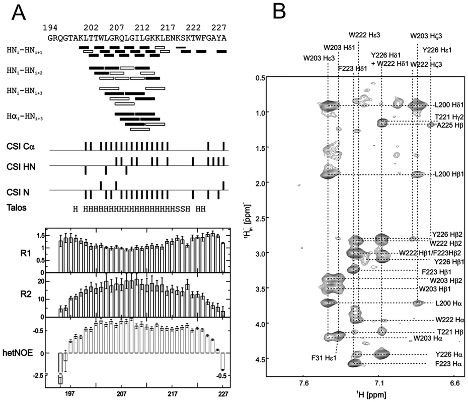 Secondary structure prediction of E<sup>rns</sup>ΔN deduced from NMR spectroscopy.