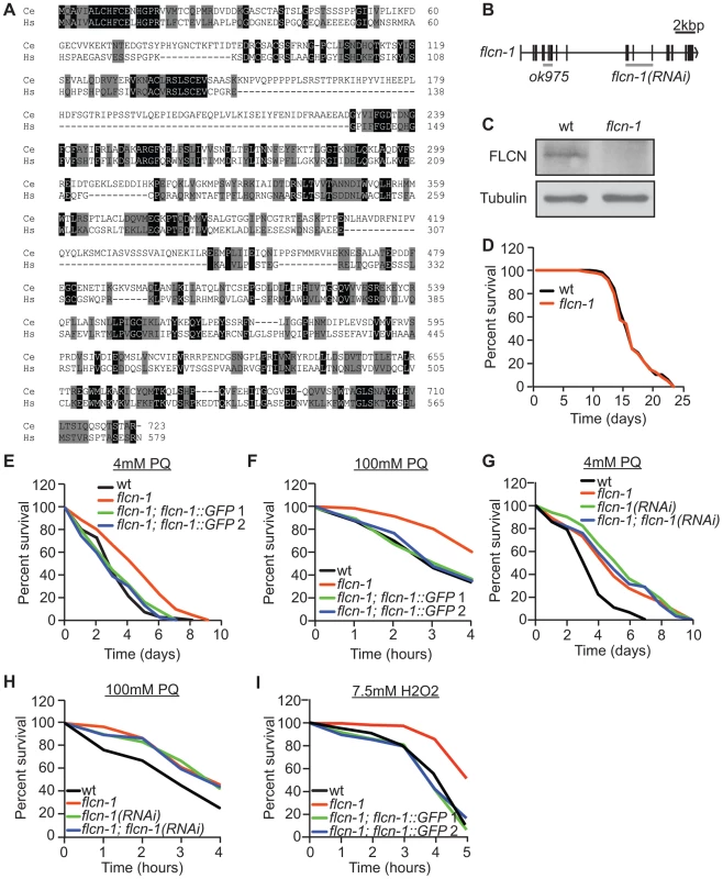 Loss of <i>flcn-1</i> confers resistance to oxidative stress in <i>C. elegans</i>.
