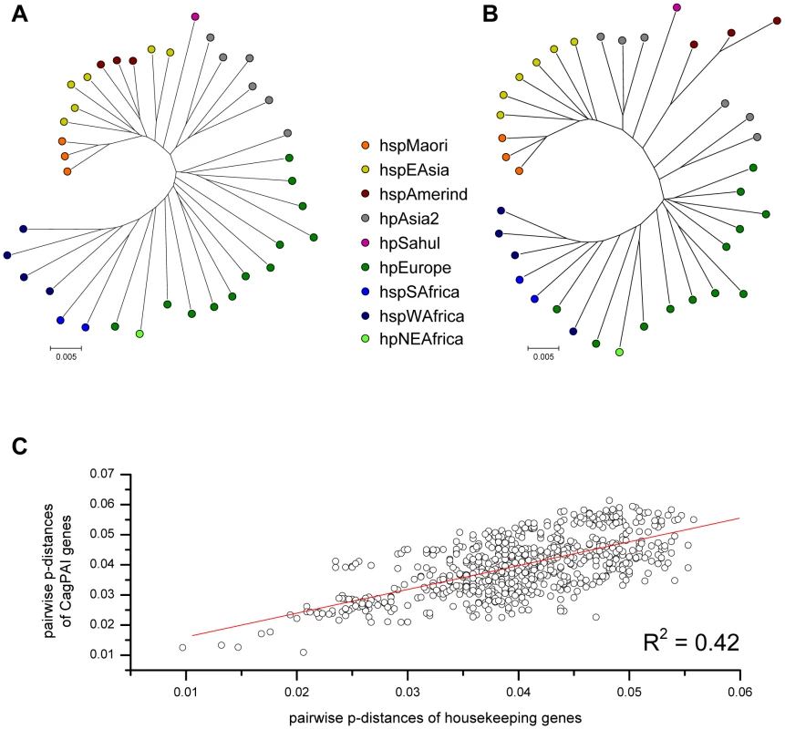 Pairwise correlation of genetic distances and phylogeographic diversity between <i>H. pylori</i> housekeeping genes and concatenated <i>cag</i>PAI genes.