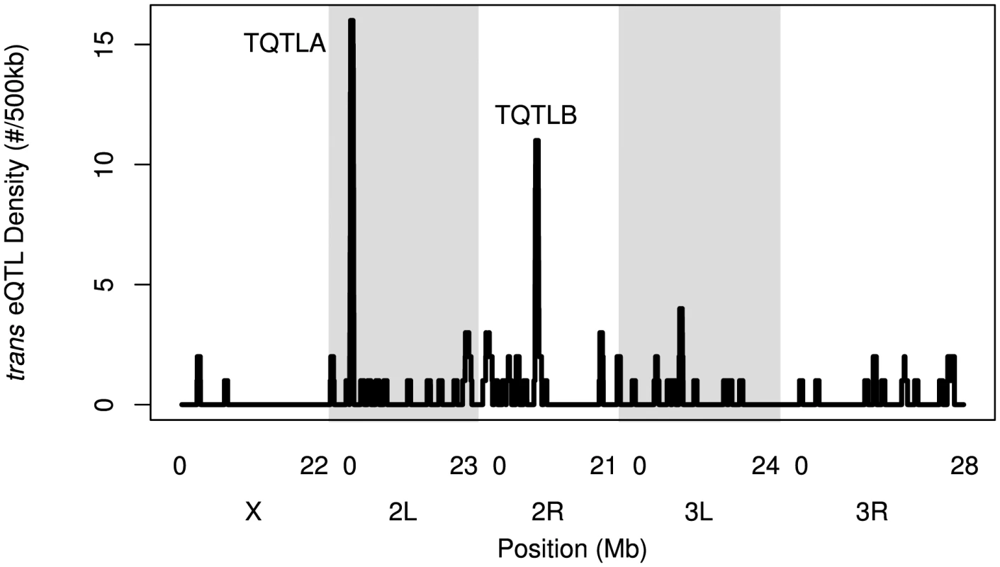 The density of <i>trans</i>-eQTLs along the genome.