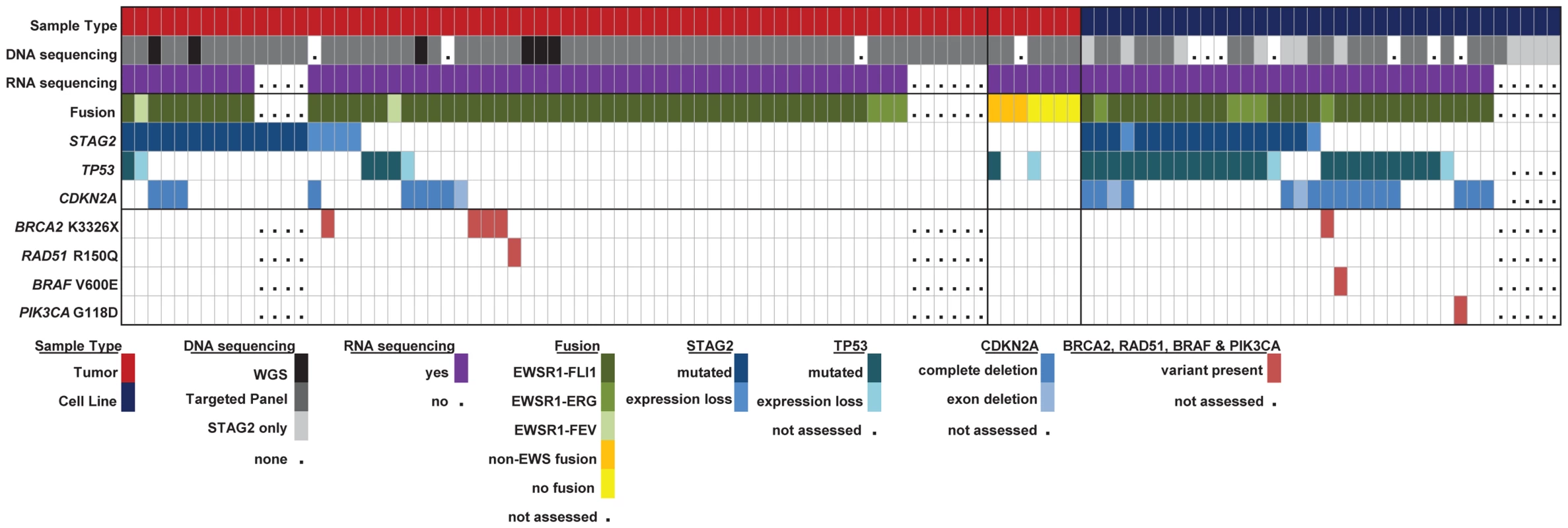 Summary of sequencing findings in EFT tumors (red) and cell lines (dark blue) highlighting recurrent alterations.