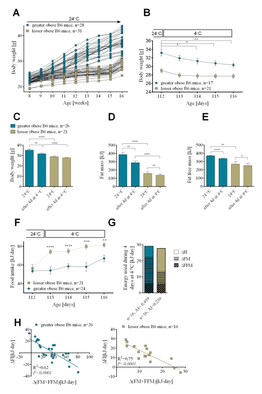 Changes in endogenous substrate utilization and food intake associated with cold-induced thermogenesis in mice with variable levels of DIO.