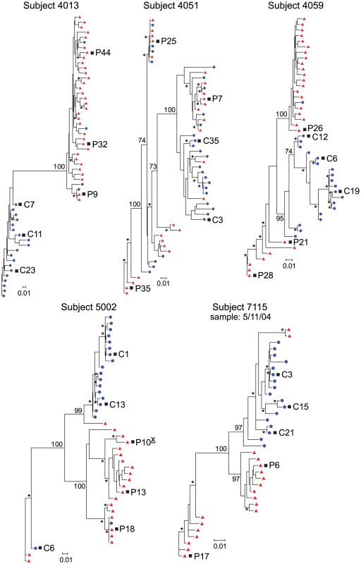 Compartmentalized HIV-1 populations in the CSF are associated with HAD.