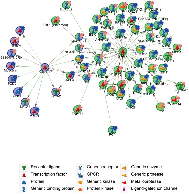 c-Myc and Oct-4 networks.
