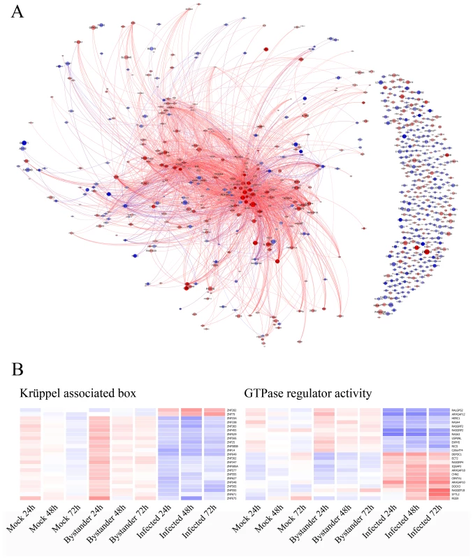 Bibliography analysis and focus on neglected genes.