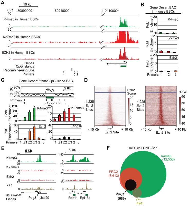 A 1.7 kb GC-rich sequence element is sufficient to recruit PRC2.