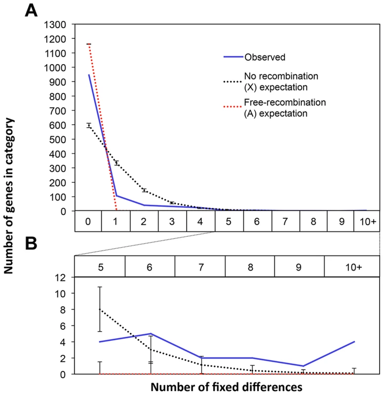 Fixed differences in X-linked genes are not uniformly distributed across the X.