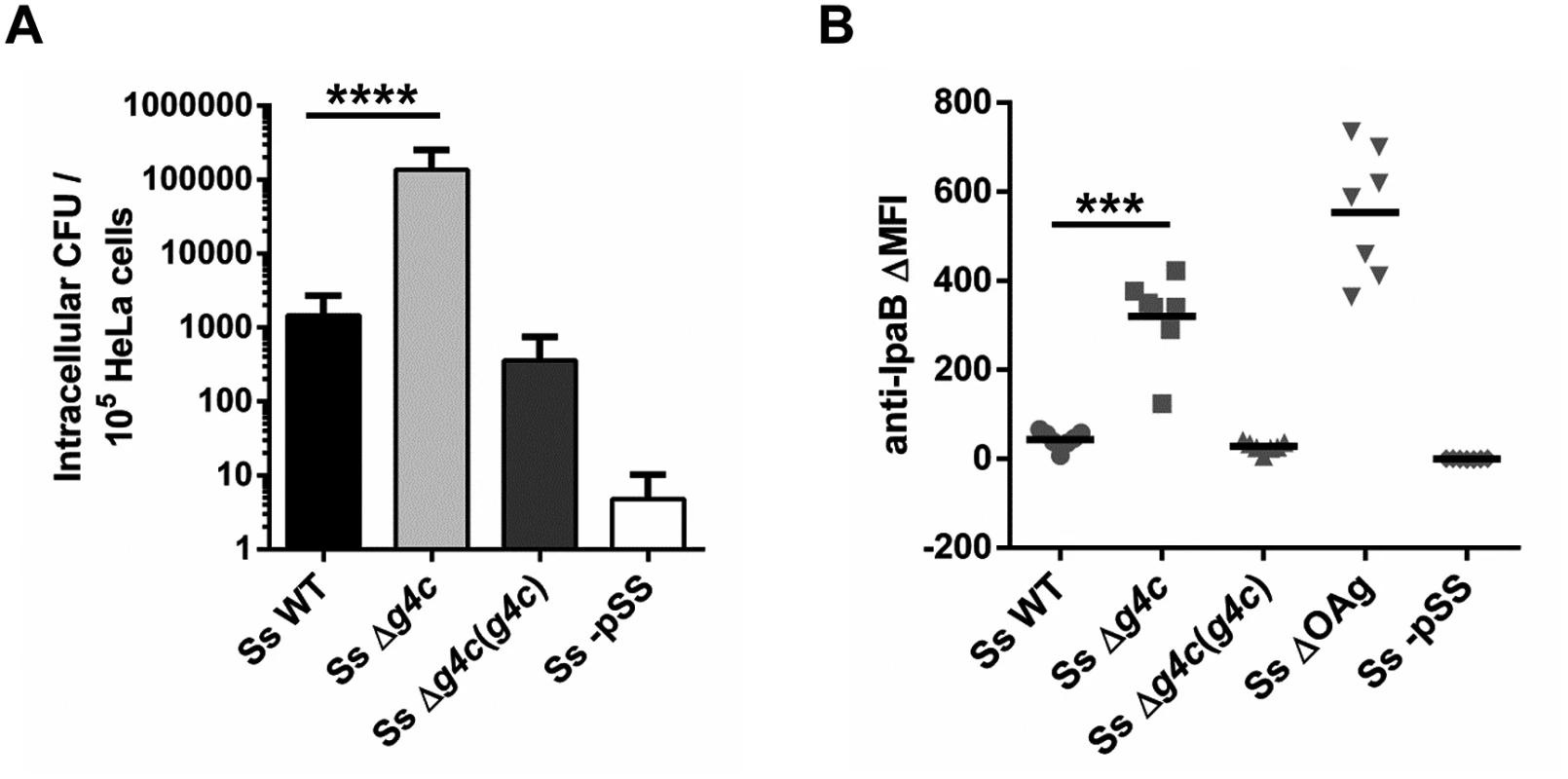 Group 4 capsule impacts <i>S</i>. <i>sonnei</i> HeLa cell invasion and IpaB exposure on the surface.