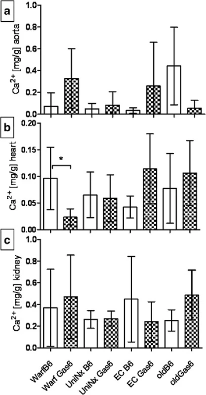 Calcium in tissues; Ca<sup>2+</sup> content in aortas after warfarin diet, UniNx, EC or in healthy aging WT (C57BL/6) and Gas6<sup>-/-</sup> mice. a aorta, b heart, c kidney. UniNx (Uninephrectomy), EC (Electrocautery), mean ± SD. –: significant in between groups (<i>p</i> < 0.05)