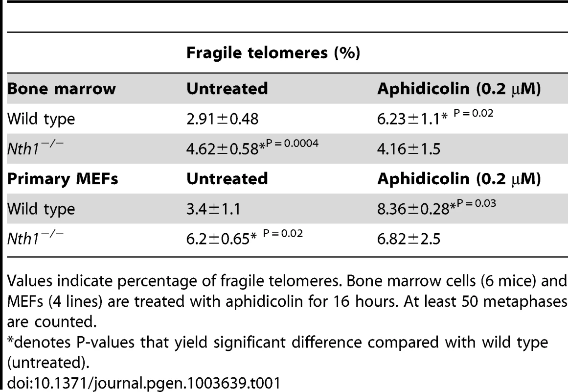 Quantification of fragile telomeres in wild-type and <i>Nth1<sup>−/−</sup></i> mouse bone marrow cells and primary MEFs treated with a low dose of aphidicolin.