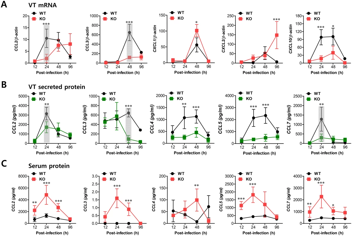 Sequential responses of chemokines in response to mucosal infection with HSV-1.