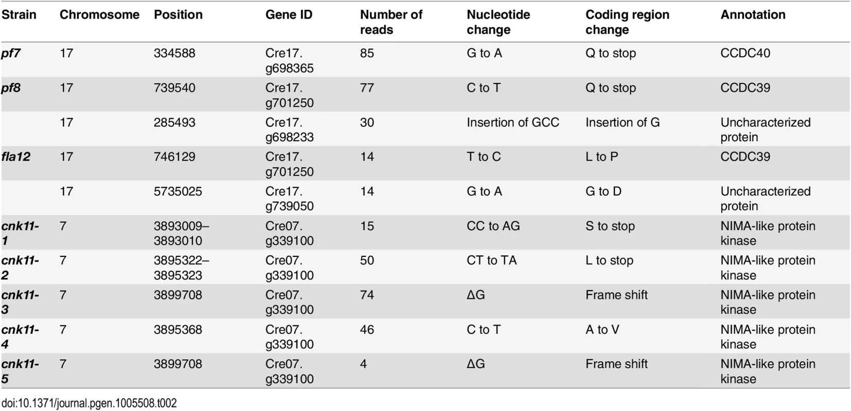 Sequence changes found in individual mutant strains.