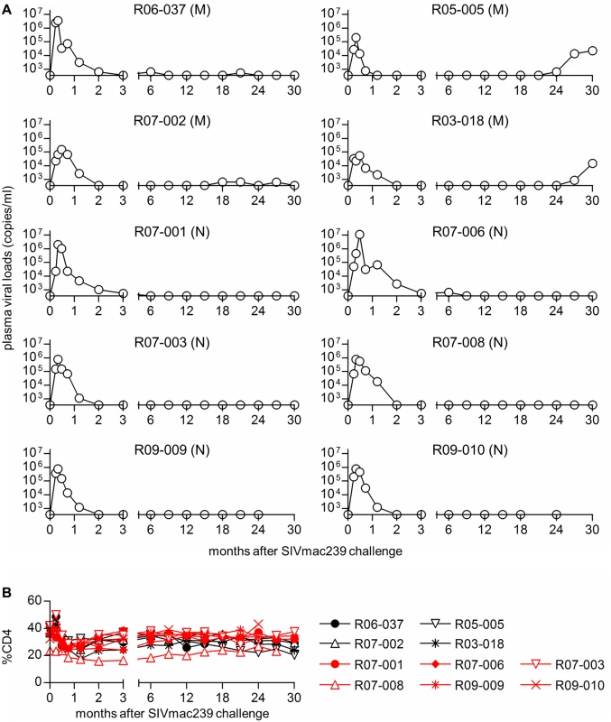 Plasma viral loads and peripheral %CD4 in SIV controllers.