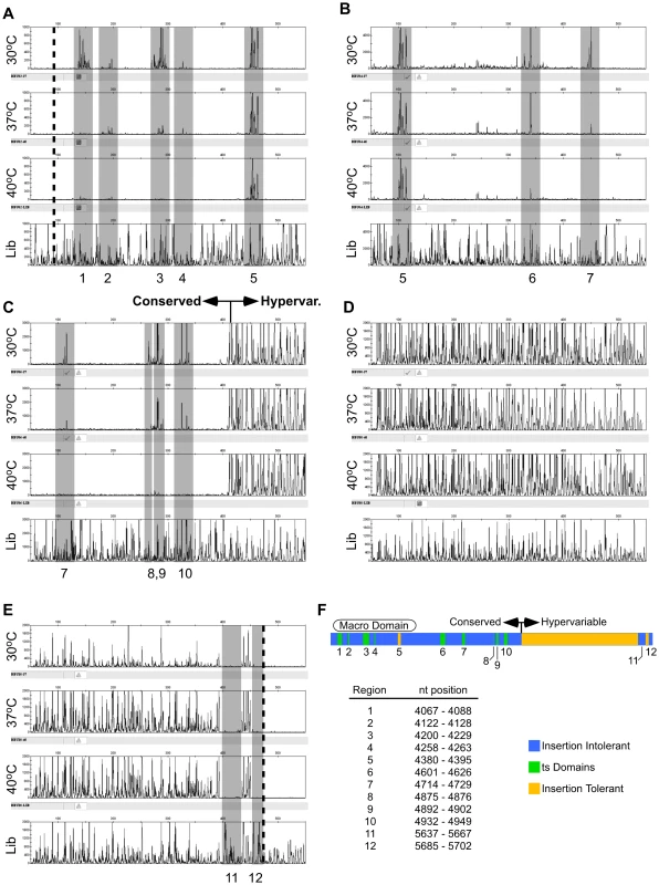 Functional mapping by capillary electrophoresis.