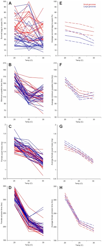 Changes in temperature alter development of <i>D. melanogaster</i> with small or large genomes.