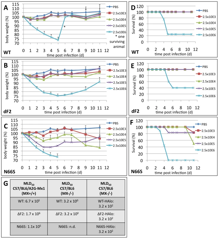 Effects of PB1-F2 expression on viral pathogenesis in vivo.