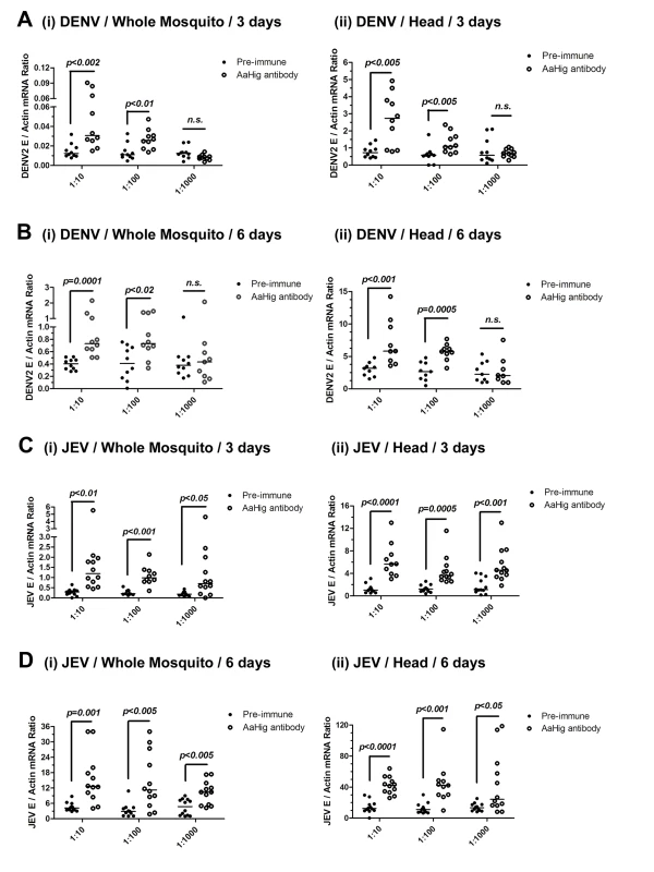 The role of <i>AaHig</i> in flaviviruses infection of <i>A</i>. <i>aegypti</i>.