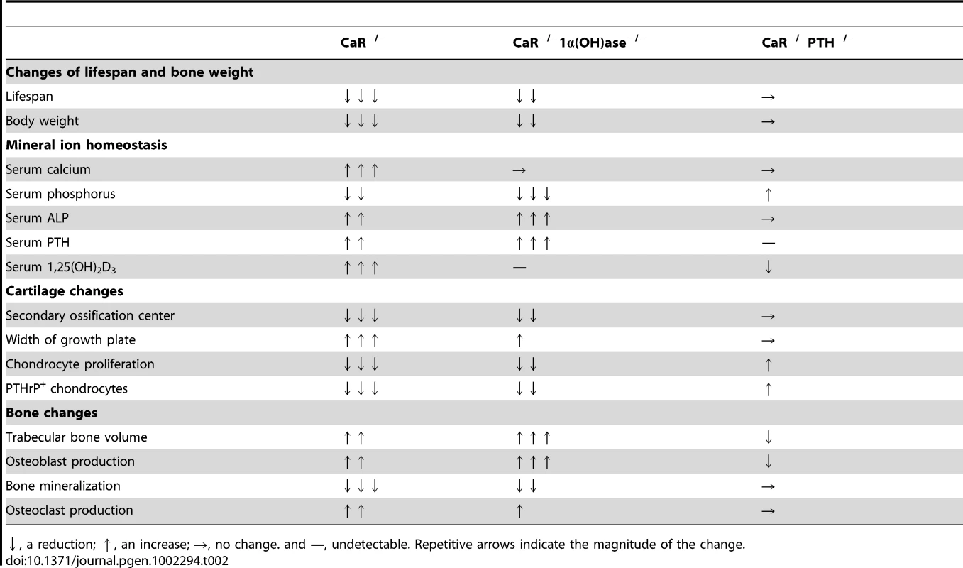 Summary of interactions among CaR, 1,25(OH)<sub>2</sub>D<sub>3</sub>, and PTH on mineral and skeletal homeostasis.