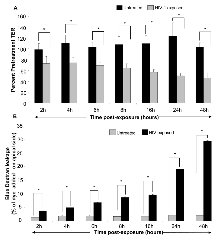 Primary genital epithelial monolayers were exposed to HIV-ADA (R5 strain, 10<sup>6</sup> infectious viral units/ml, p24 280ng/ml ) for 2h, 4h, 6h, 8h, 16h, 24h and 48h.
