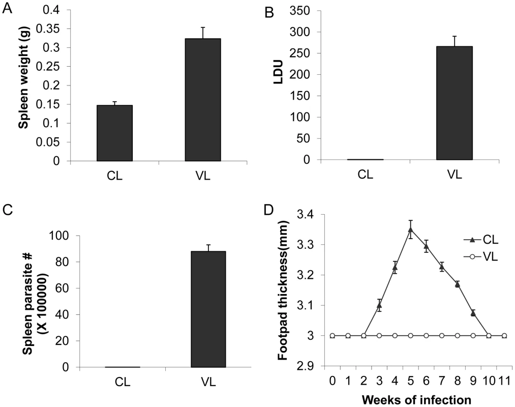 The <i>L. donovani</i> CL-SL (CL) and VL-SL (VL) strains cause different pathology in BALB/c mice.