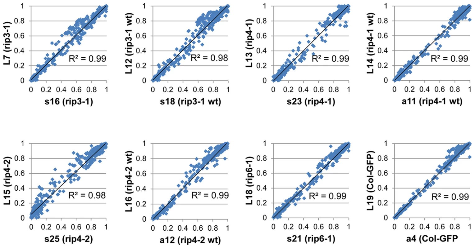 Biological replicates exhibit a high correlation of editing extent.