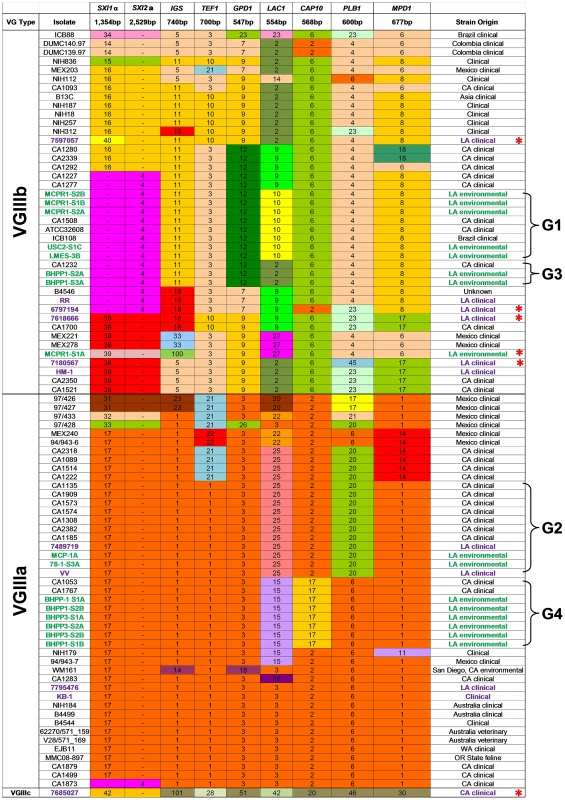 Global molecular analysis illustrates a diverse population of <i>C. gattii</i> VGIII isolates are endemic to Southern California.