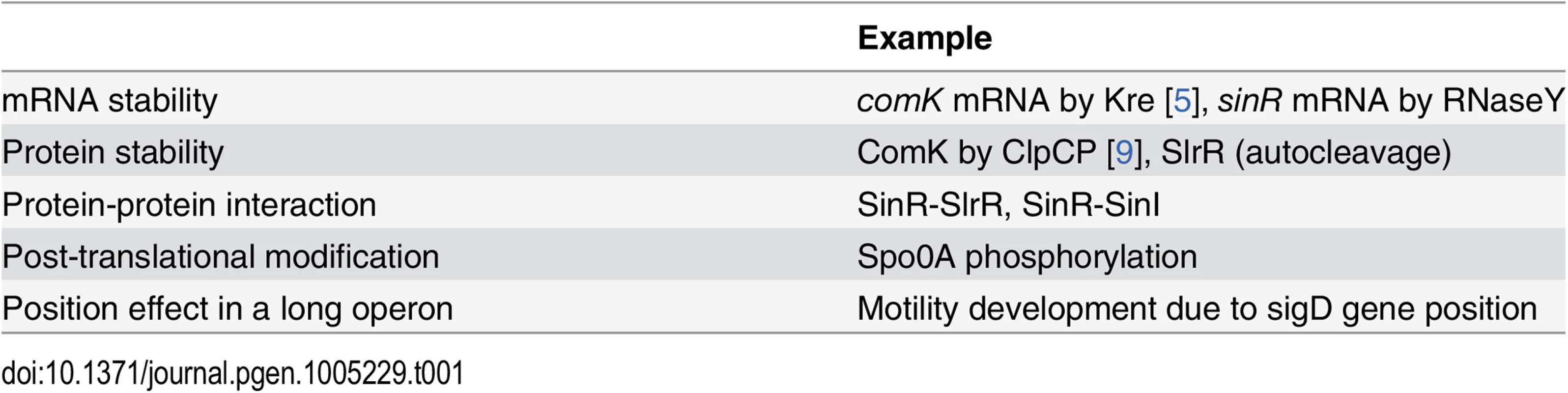 Molecular mechanisms behind bistable gene expression in <i>B</i>. <i>subtilis</i>.