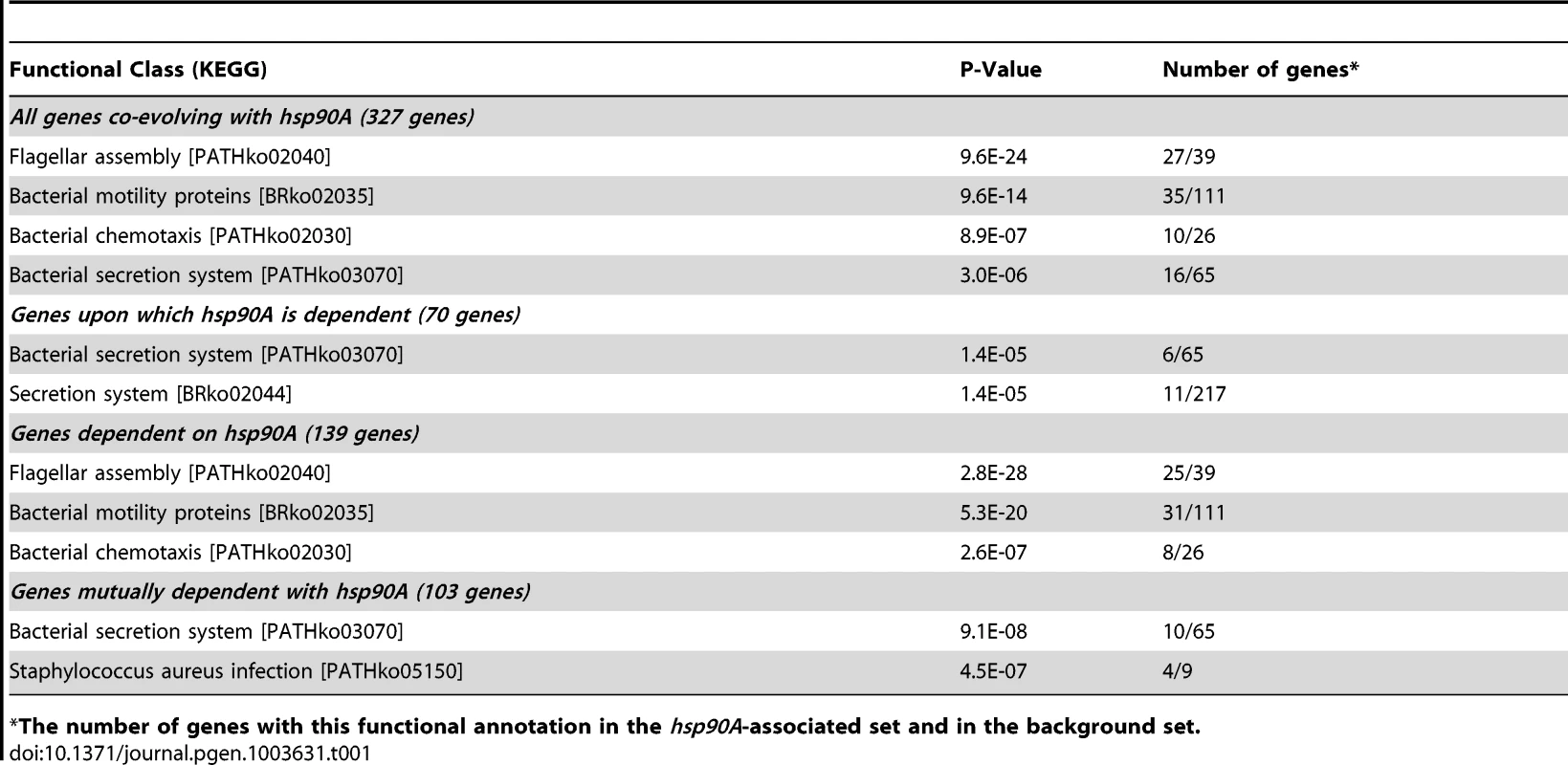Functional enrichments in the classes of <i>hsp90A</i>-associated genes.