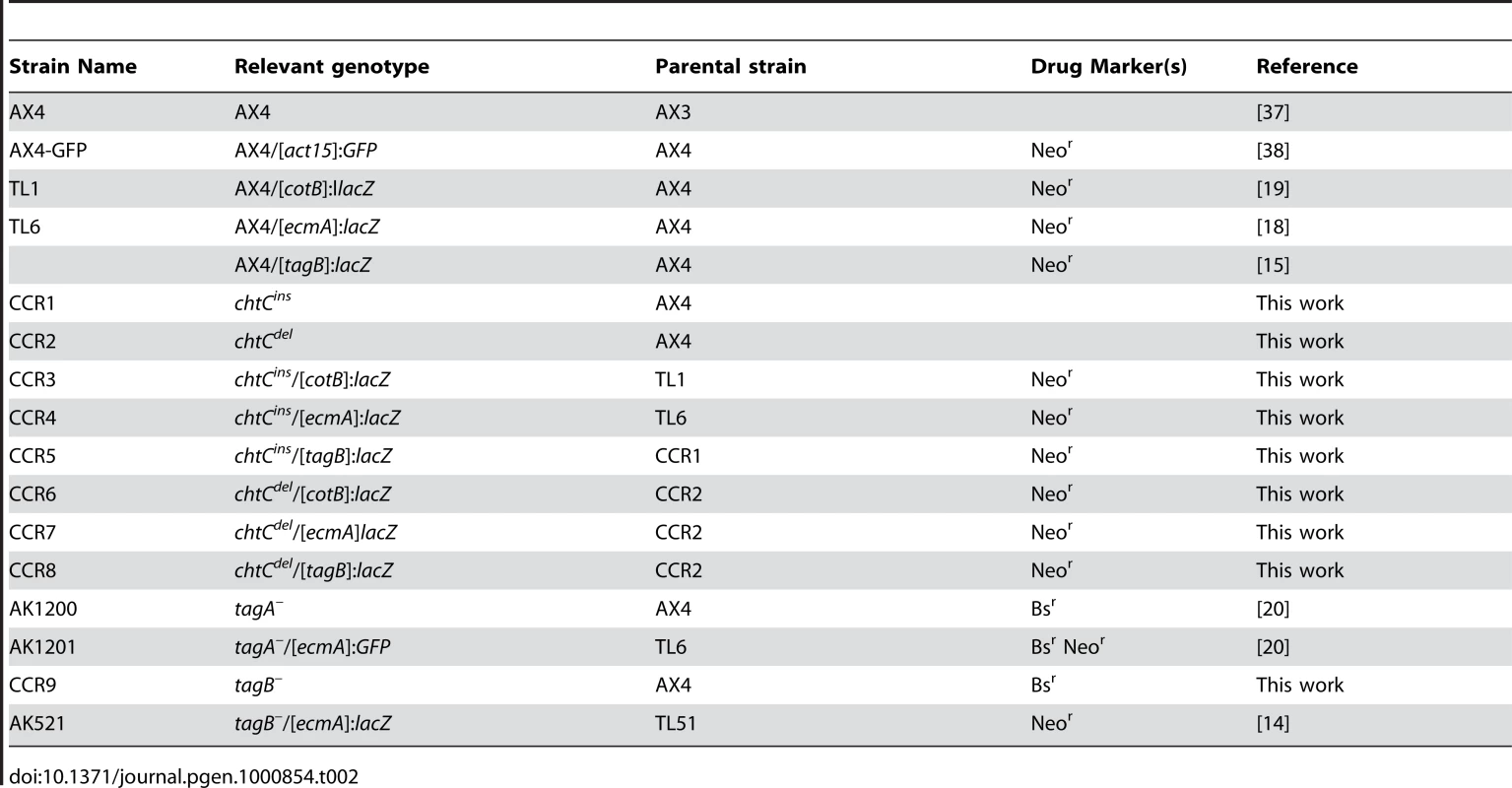 <i>D. discoideum</i> strains used in this study.