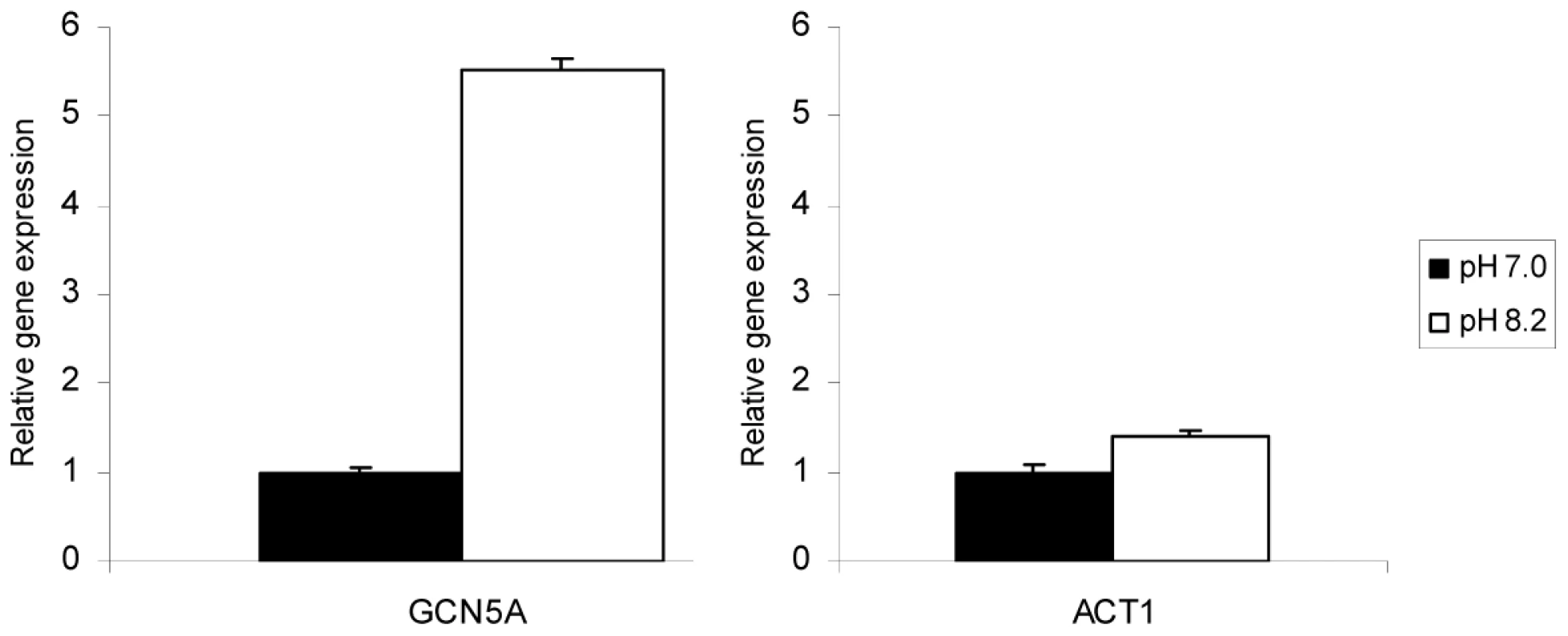 TgGCN5-A mRNA is up-regulated in response to alkaline stress.