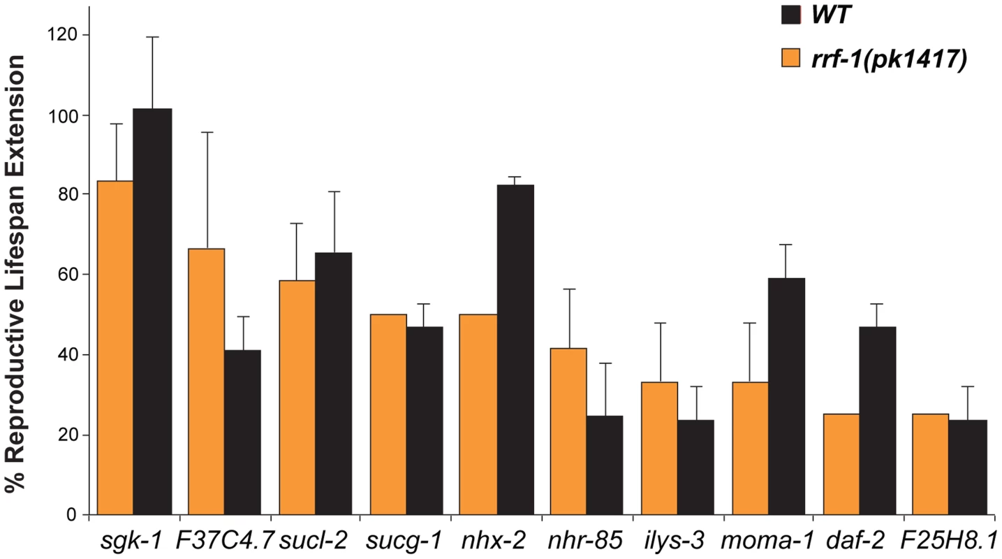 Germline genetic inactivations that prolong reproductive lifespan.