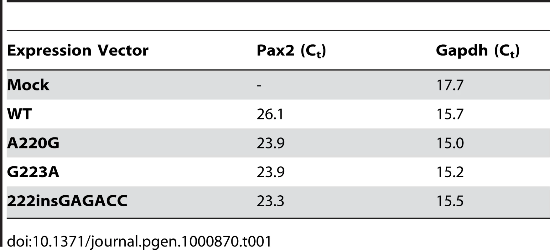 Threshold cycle (C<sub>t</sub>) quantification of real-time, reverse-transcriptase PCR of wild-type and mutant <i>Pax2</i> transfected NIH/3T3 cells shows no significant difference in steady-state levels of <i>Pax2</i> mRNA relative to Gapdh.