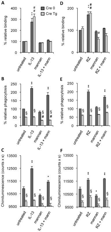Dectin-1 and the Mannose Receptor are required in different stages of <i>C.albicans</i> clearance.
