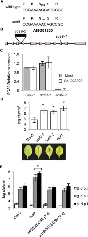 <i>scs9</i> is a mutant allele of At5g01230.