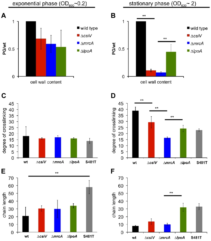 Muropeptide analysis of the <i>csiV</i>, <i>mrcA</i> and <i>lpoA</i> mutants.