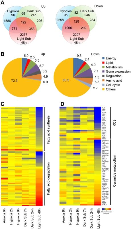 Differentially expressed genes involved in lipid metabolism under hypoxic stress.