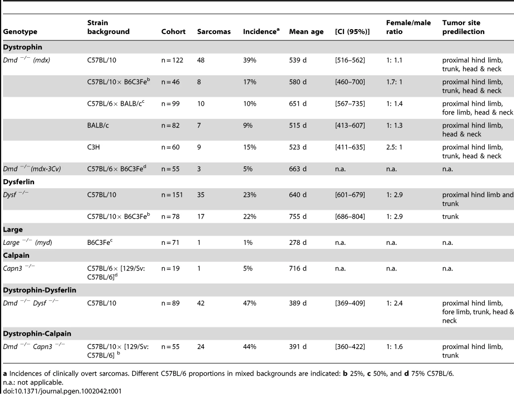 Incidence and age-of-onset of malignant sarcomas in MD mouse models.