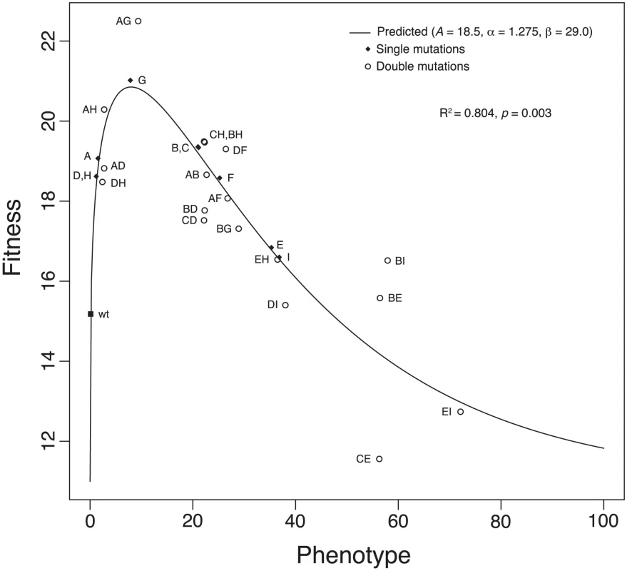The phenotype-to-fitness map.