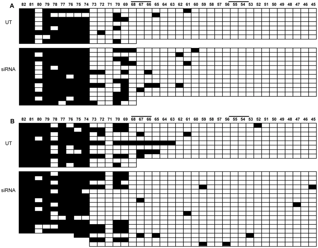 Methylation analysis of <i>FMR1</i> locus after <i>CTCF</i> knock-down.