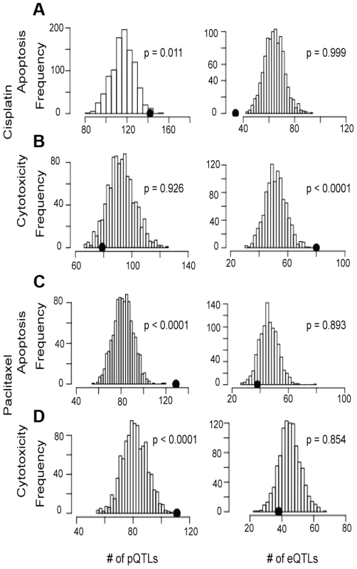 Evaluation of eQTL and pQTL enrichment associated with chemotherapeutic-induced phenotypes.