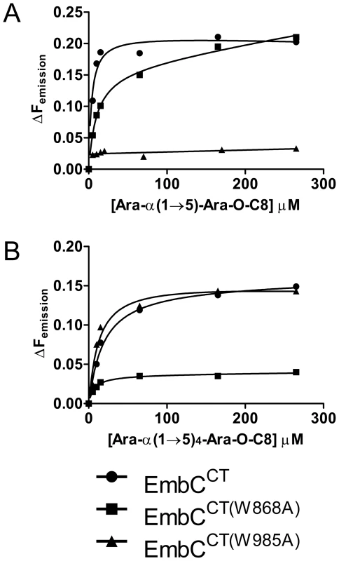 Differential binding of di- and penta-arabinofuranoside acceptor analogues to point mutants of EmbC<sup>CT</sup>.