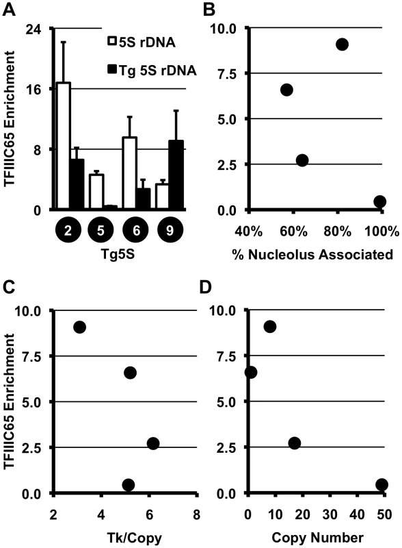 TFIIIC complex association and histone modifications at 5S rDNA transgenes.