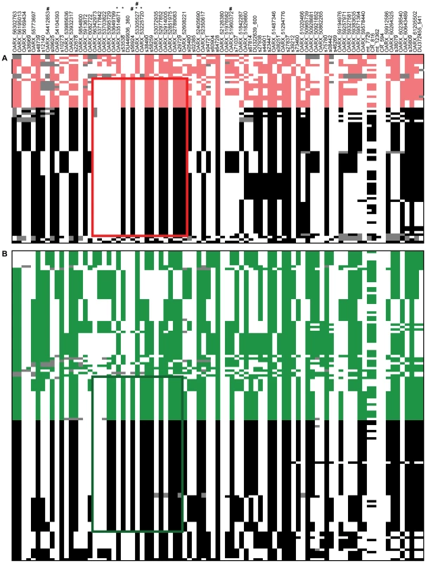 Clusterization of haplotypes reconstructed at the OARX locus.