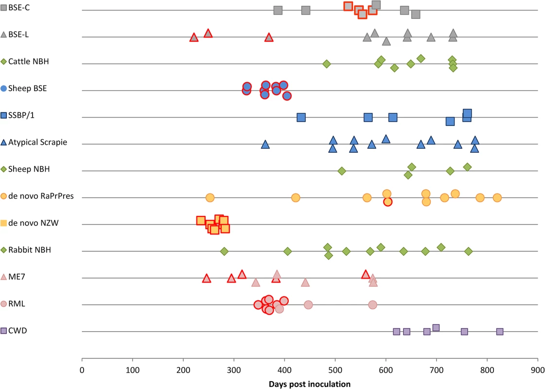 <i>TgRab</i> survival times after inoculation.