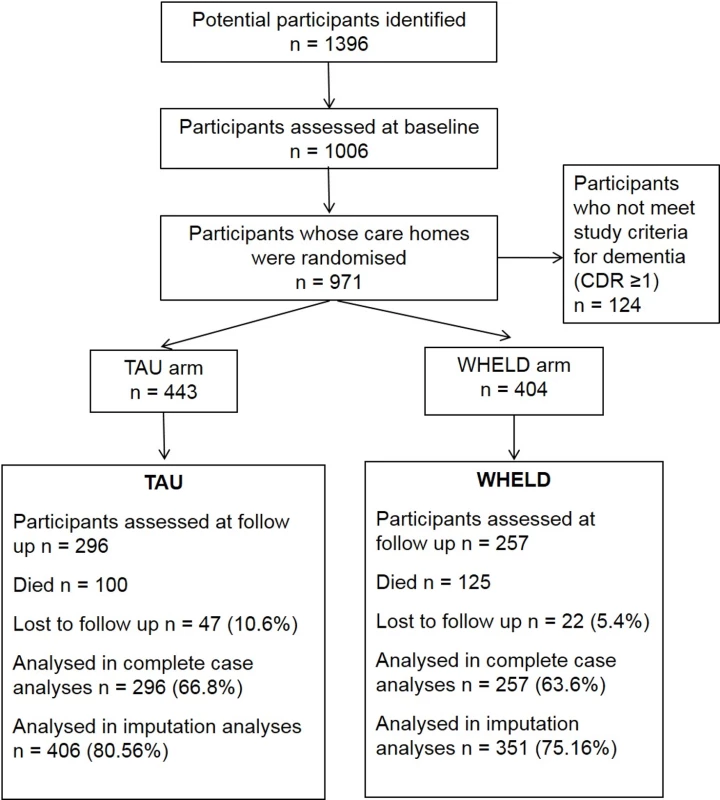 CONSORT chart showing flow of participants through the study.