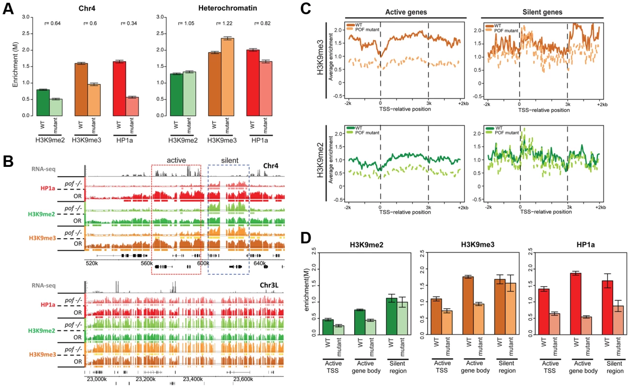 Lack of POF leads to large-scale changes in HP1a and H3K9me2/3 and demonstrates that HP1a on chromosome 4 consists of POF-dependent and -independent pools.