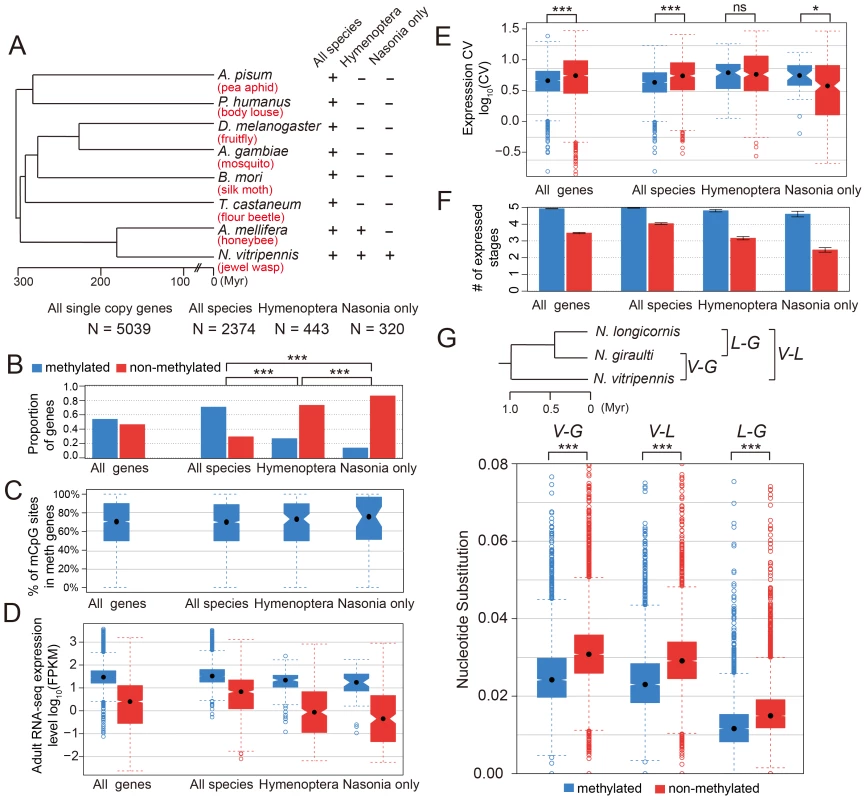 DNA methylation and gene conservation.